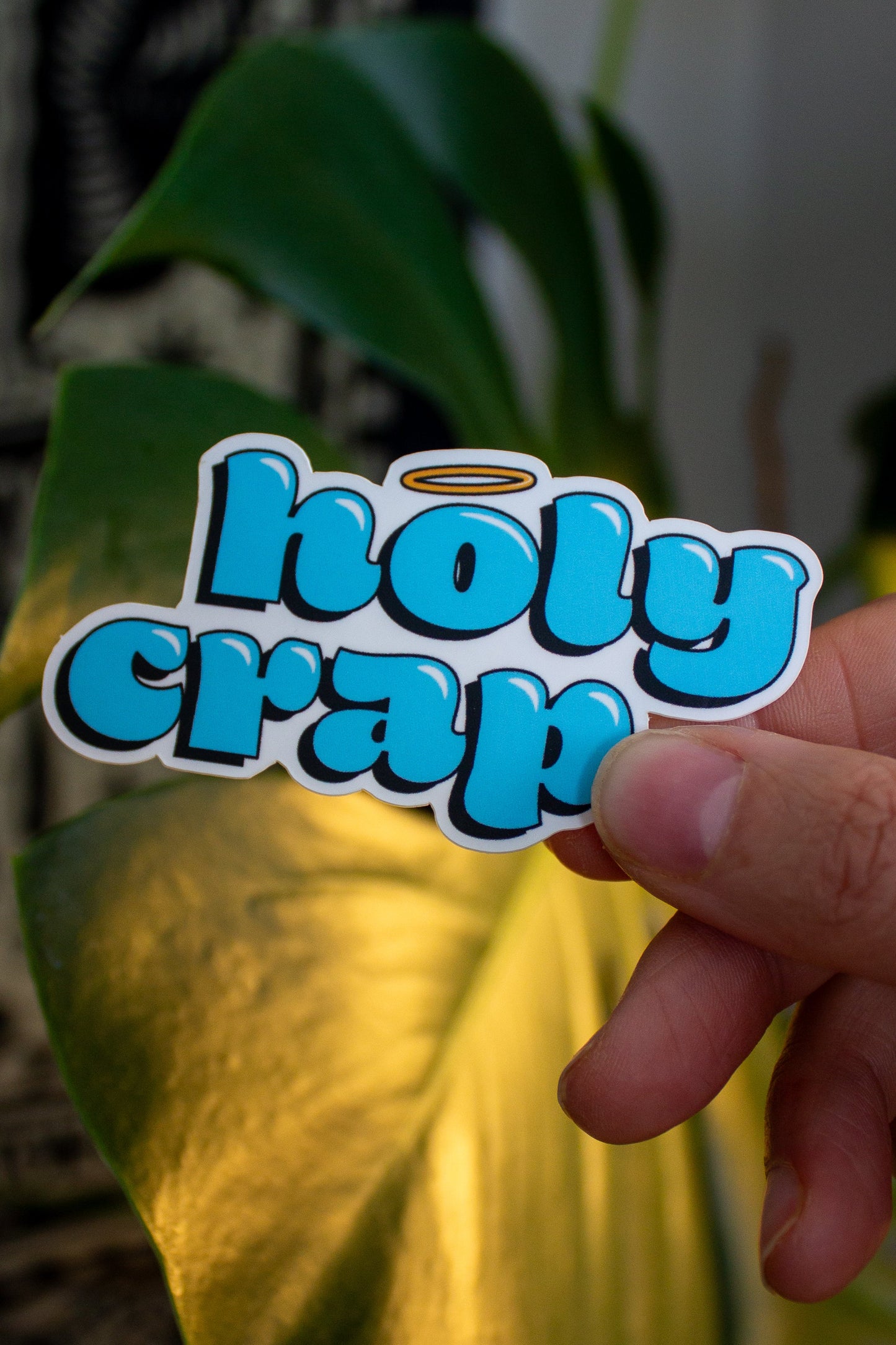 Holy Crap Sticker